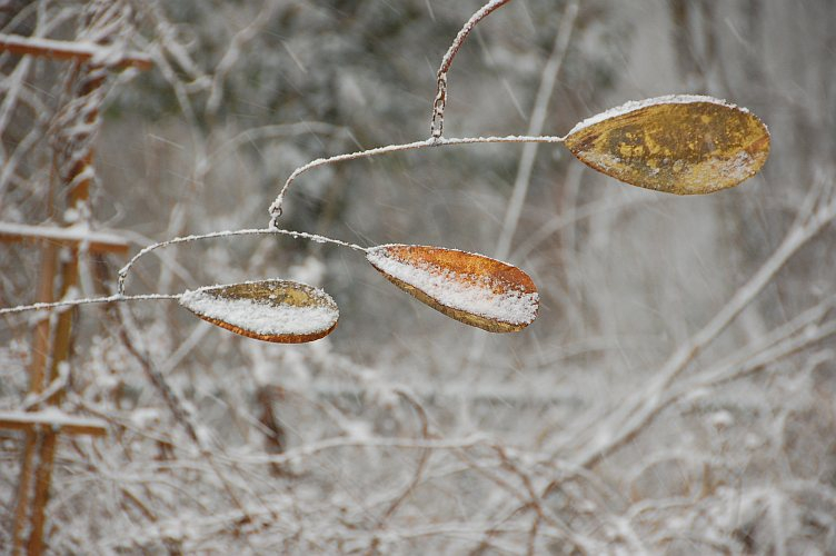 sarabande-winter-2010