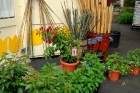 marcia-pots-n-stuff