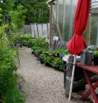 marcia-umbrella-path