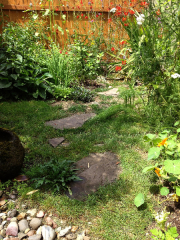 View of the mystery path