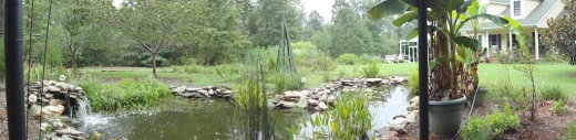 pondpanorama