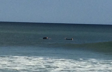 surfers1